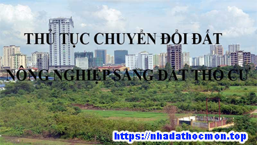 Tìm hiểu về thủ tục chuyển mục đích sử dụng đất nông nghiệp